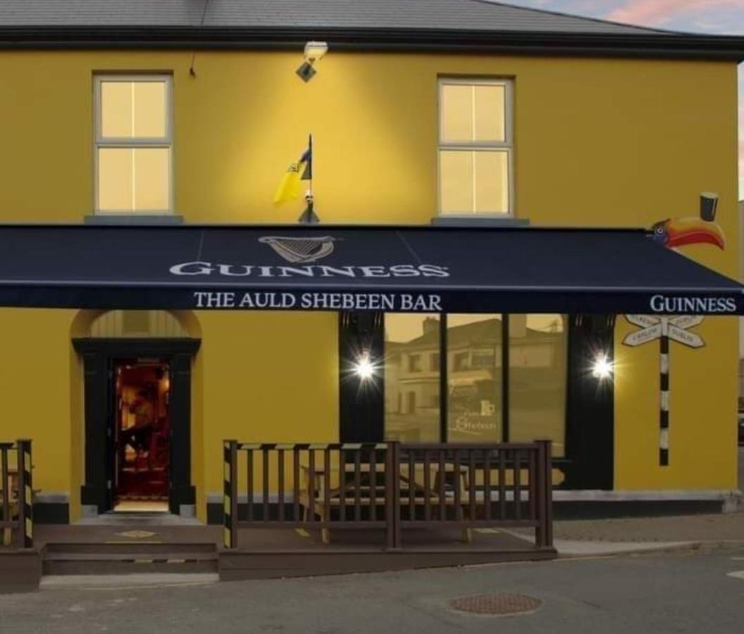 The Canalside B&B At The Auld Shebeen Bar Athy Εξωτερικό φωτογραφία