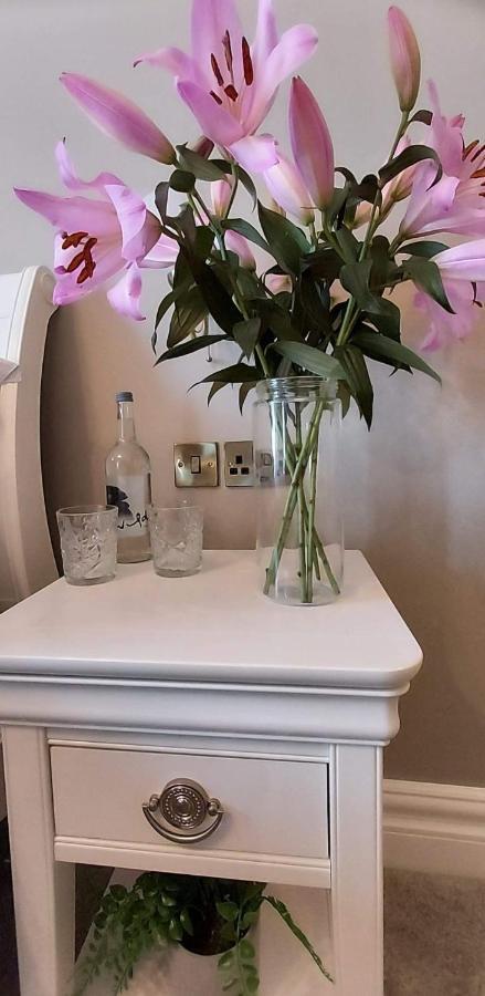 The Canalside B&B At The Auld Shebeen Bar Athy Εξωτερικό φωτογραφία
